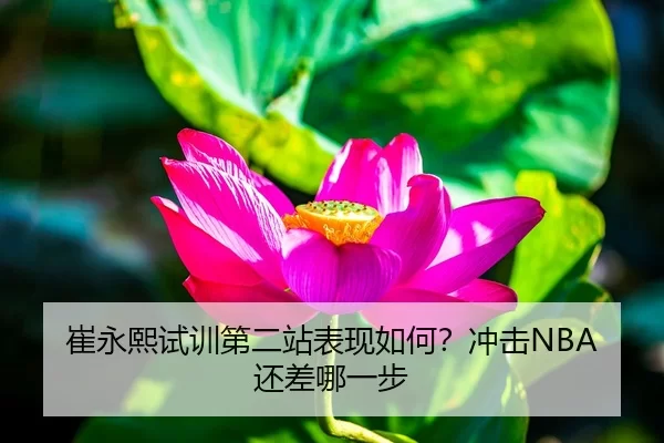 崔永熙试训第二站表现如何？冲击NBA还差哪一步