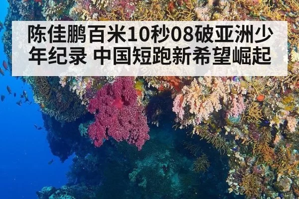 陈佳鹏百米10秒08破亚洲少年纪录 中国短跑新希望崛起