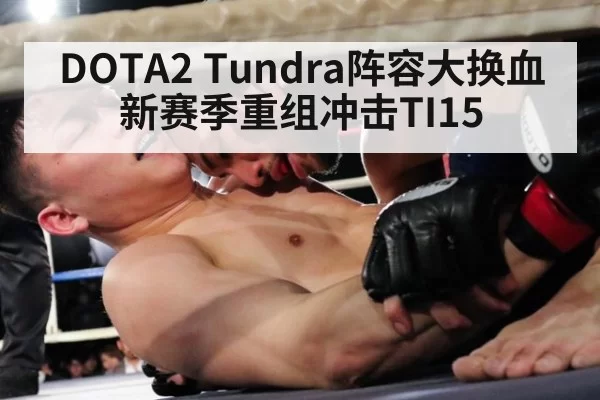DOTA2 Tundra阵容大换血 新赛季重组冲击TI15